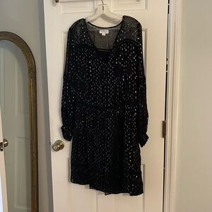 Black and metallic sheer dress (pale gold/silver)